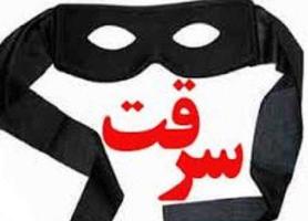 دستگیری سارق سیم های برق در مهران