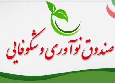 اعضای هیات عامل صندوق نوآوری و شکوفایی منصوب شدند