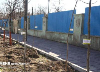 طرح شناسنامه دار شدن درختان در کرج اجرا شد