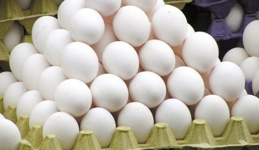 یک مقام مسئول در گفت و گو با خبرنگاران: زیان یک هزار تومانی مرغداران در فروش هر کیلو تخم مرغ، صادرات تخم مرغ همچنان ممنوع است