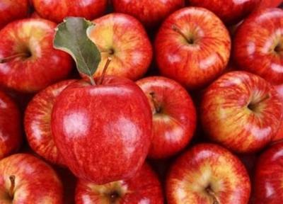 ششمین جشنواره سیب و گلابی در گلزار برگزار می گردد