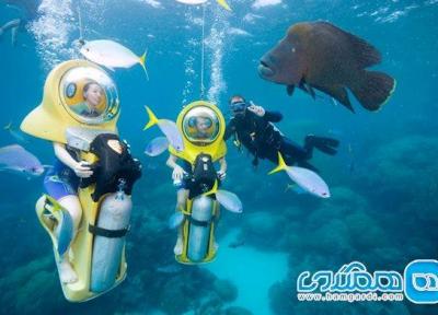 سد مرجانی، زیباترین میراث جهانی استرالیا