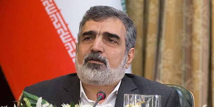کمالوندی: میزان اورانیوم غنی شده 4.5 درصد به 370 کیلوگرم رسید کمالوندی: میزان اورانیوم غنی شده 4.5 درصد به 370 کیلوگرم رسید