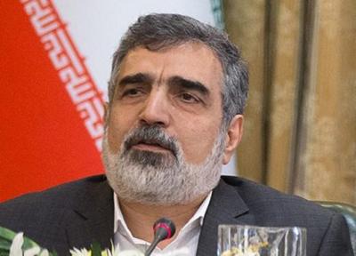 کمالوندی: میزان اورانیوم غنی شده 4.5 درصد به 370 کیلوگرم رسید