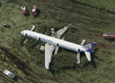 فیلم ، فرود اضطراری هواپیمای روسی پس از برخورد با دسته پرندگان