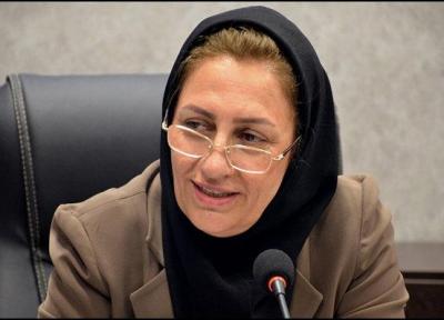 افزایش شهر نشینی تبعاتی به همراه دارد، 80درصد جمعیت ایران در شهر ها زندگی می نمایند