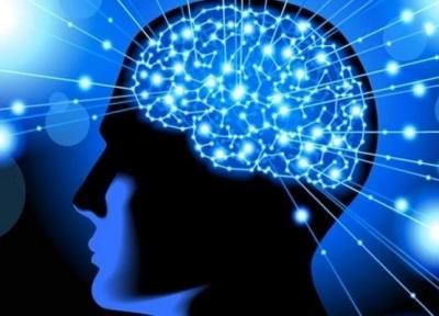 اجرای پژوهش های علوم شناختی بر اساس احتیاج جامعه