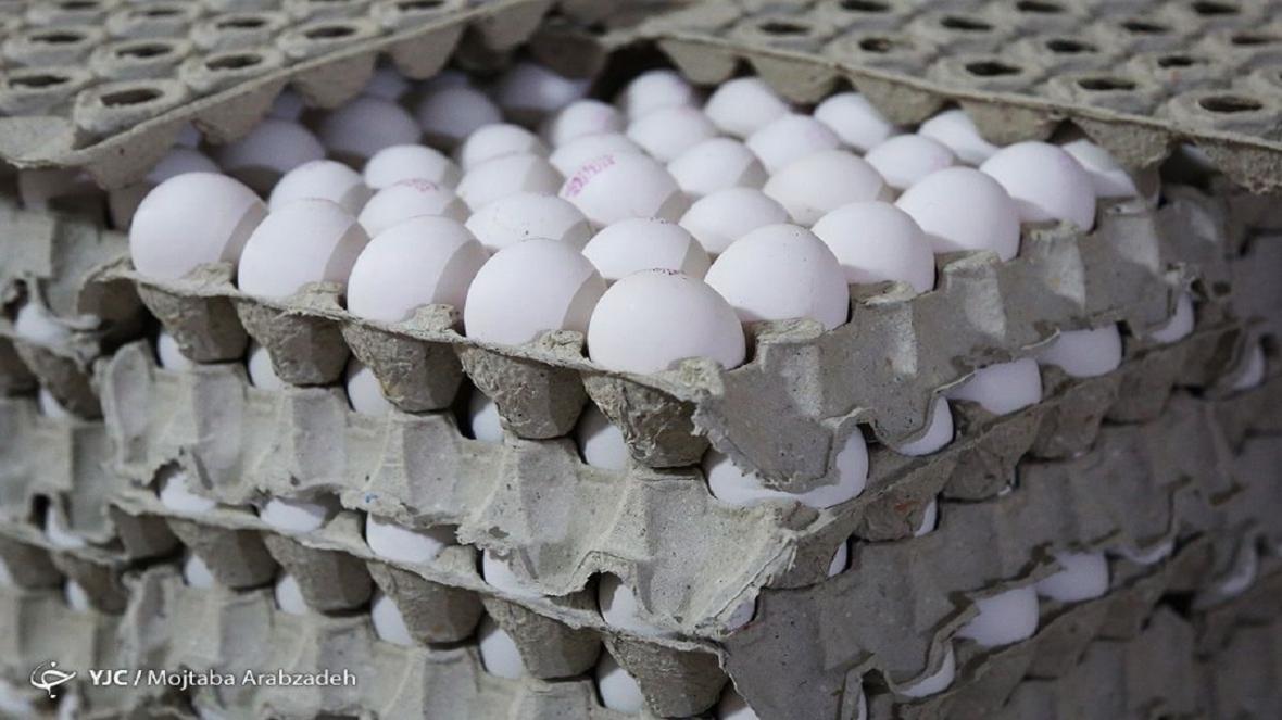 علت افزایش قیمت تخم مرغ چیست؟ ، مدیریت صادرات تخم مرغ برای تنظیم بازار داخلی