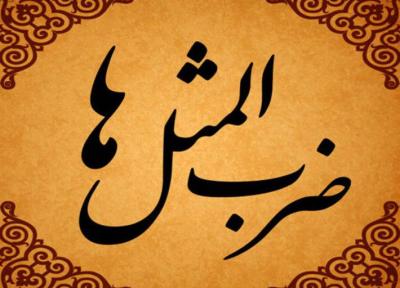ضرب المثل آدم گرسنه سنگ را هم می خورد