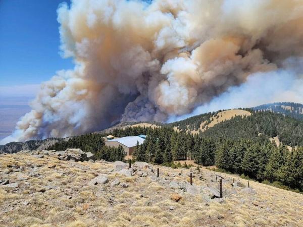خبرنگاران آتش سوزی نابهنگام جنگل های آمریکا پیامد تغییرات اقلیمی است