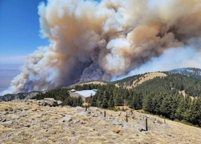 خبرنگاران آتش سوزی نابهنگام جنگل های آمریکا پیامد تغییرات اقلیمی است