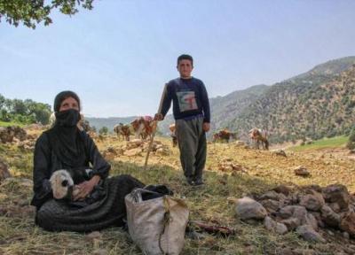 (تصاویر) بَنگ کوچ