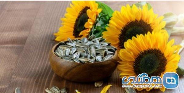 مصرف بی رویه دانه های آفتابگردان چه خطراتی دارد؟