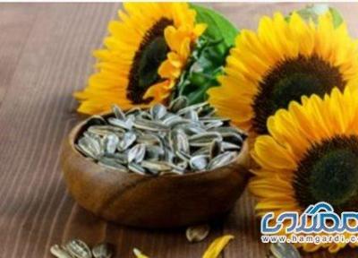 مصرف بی رویه دانه های آفتابگردان چه خطراتی دارد؟