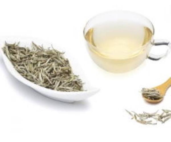 9 خاصیت دارویی چای سفید در درمان بیماری ها
