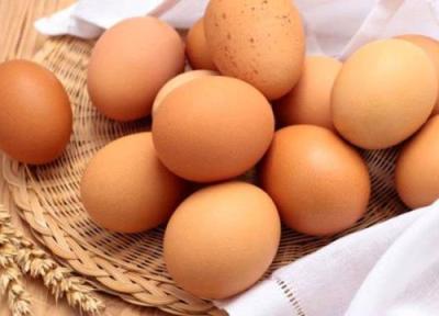 آنچه باید درباره مصرف تخم مرغ بدانید
