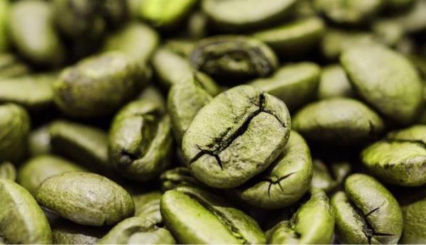 آشنایی با فواید و مضرات قهوه سبز