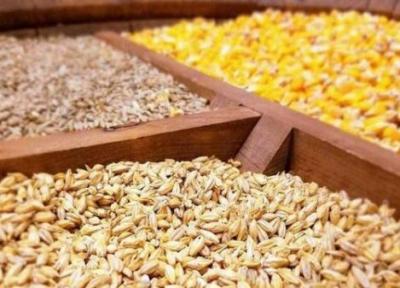 توزیع بیش از 3000 تن انواع نهاده دامی در چالدران